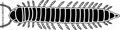 insect illustration depicts a segmented black millipede arthropod, displaying distinctive body structure
