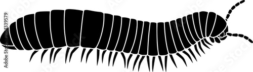 insect illustration depicts a segmented black millipede arthropod, displaying distinctive body structure
