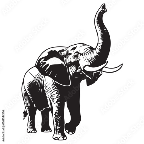 Black and white illustration of an elephant on transparent background