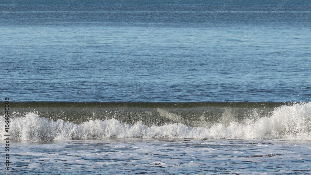 Fototapeta premium Venice Beach, California