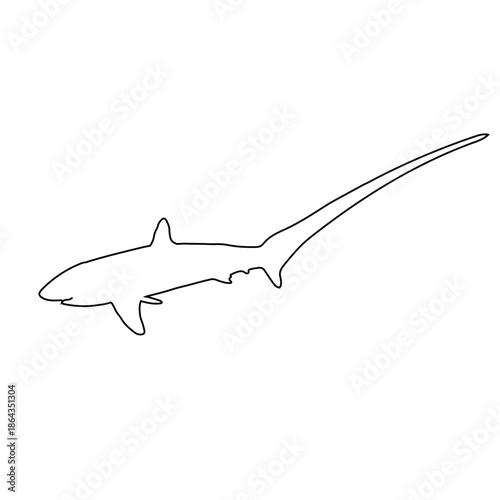 Thresher Shark 2 Vector Line Icon - Editable EPS