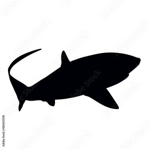 Canvas-taulu Thresher Shark Vector Silhoutte Black Icon - Editable EPS