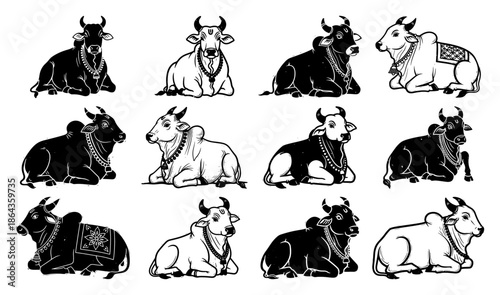 Sacred Indian cow and bull collection sitting in traditional sketch style