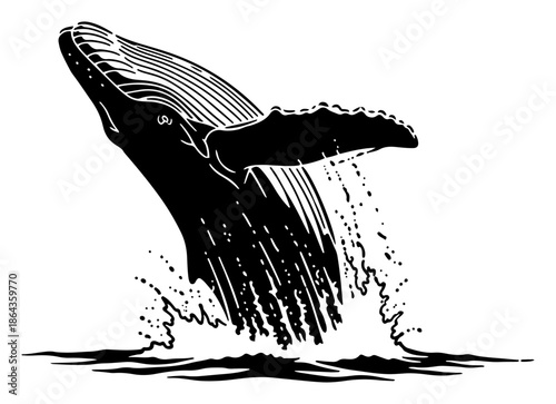 Humpback whale breaching out of water sketch illustration in retro woodcut style