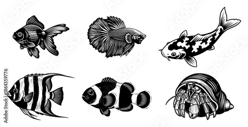 Aquarium fish and sea creature sketch collection including koi betta and hermit crab