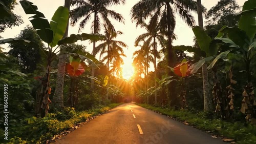 Tropical Road at Sunset - A Journey Through Lush Greenery.