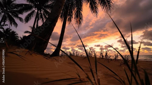 Tropical Sunset Serenity - Palm Trees and Golden Skies.