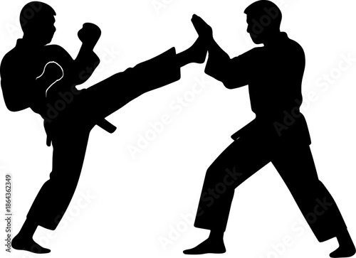 Silhouettes of two young adult males practicing martial arts in combat stance