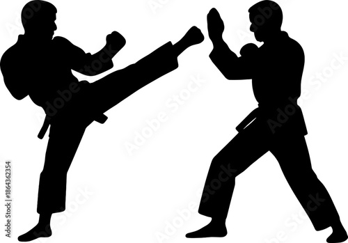 Silhouette of two men practicing martial arts in combat stance