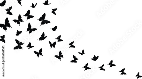 Elegant Butterfly Silhouettes in Flight