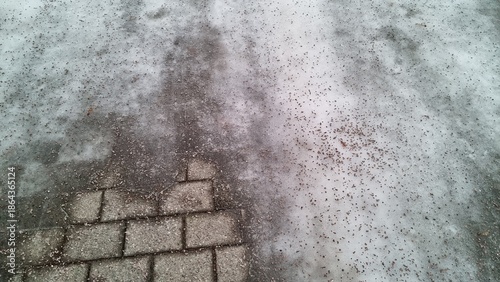 Paved path covered with ice and small debris near grassy area during winter afternoon in a residential neighborhood