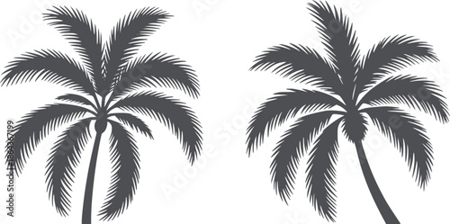 Two minimalist black and palm tree silhouettes