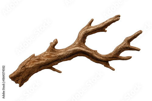 Dry natural wood branch with rough texture, isolated element, featuring dead tree part with unique shape and pattern