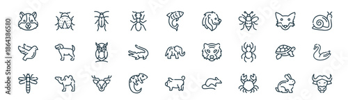 modern linear animals icon set. vector thin line outline symbols for ui/ux app and web interfaces. minimal stroke collection including rabbit, ladybug, cockroach, fox, alligator, swan, pig, buffalo.