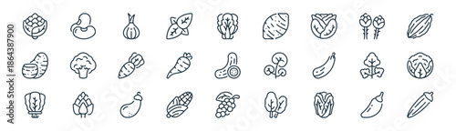 linear vegetables icon pack. vector thin line icons collection such as jalapeno, beans, onion, asparagus, parsnip, cauliflower, pepper, okra