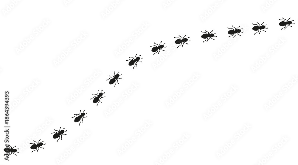 Obraz premium Curved trail of worker ants. Insect path forming a winding line. Ant background element for design and decoration. Simple vector illustration on a white background.