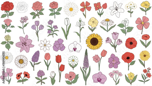 Vector illustration of diverse flowers and plants in bloom featuring a prominent sunflower, various petals and foliage
