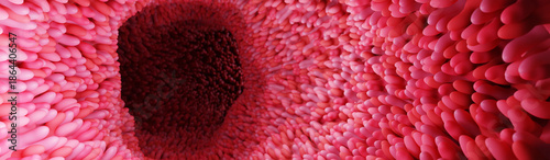 Model of the small intestine in the human body. Microvilli on the surface of digestive system or intestinal tract. anatomy, biology, science, medicine, medical and healthcare concepts. 3D rendering.