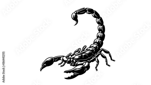Detailed Illustration of a Black and White Scorpion with Curved Tail and Claws in Artistic Style