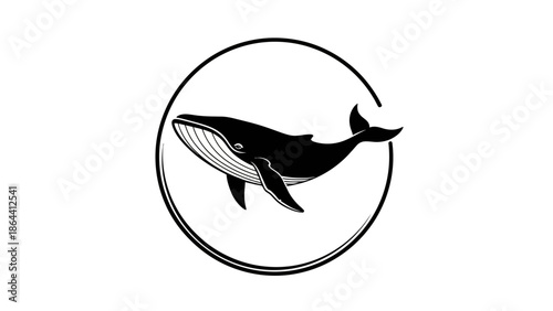 Minimalist Black and White Whale Illustration Encased in Circular Frame for Marine Art Design