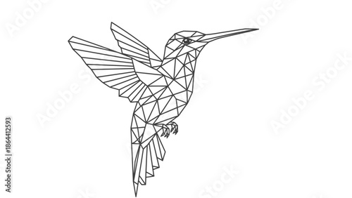 Minimalist Geometric Line Art Illustration of a Hummingbird in Flight