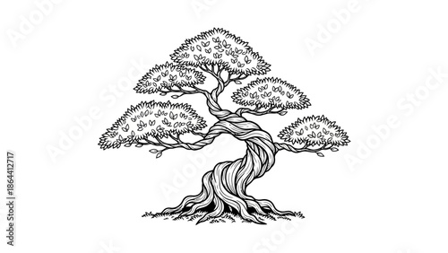 Elegant line art illustration of a stylized bonsai-like tree with intricate branch and leaf