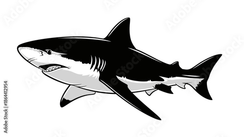 Detailed Illustration of a Great White Shark Highlighting Its Anatomical Features and Predatory