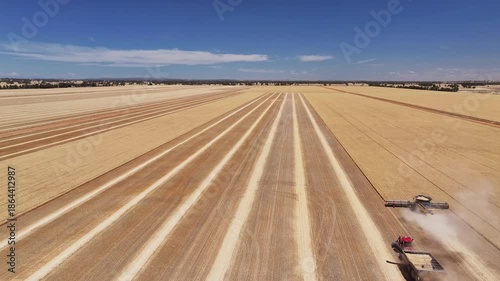 Aerial view of harvest and transport in golden wheat paddock