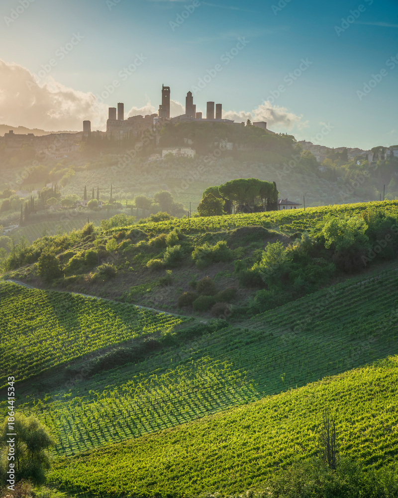 Fototapeta premium San Gimignano Towers and Vineyards at Sunset, Tuscany, Italy