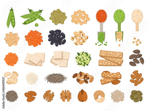 Diverse Plant-Based Protein Sources A Colorful Food Vector