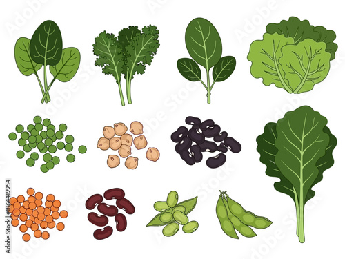 Fresh and Colorful Legumes and Greens Vector Illustration