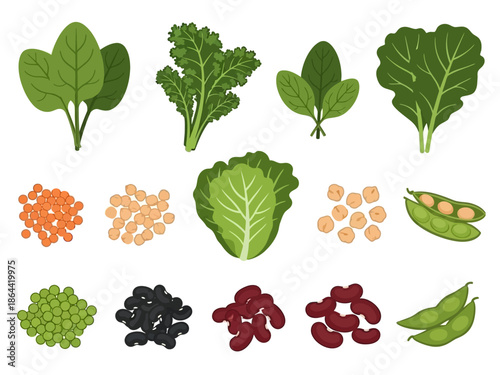 Nutritious Greens and Pulses A Colorful Array of Healthy Vegan Protein Sources