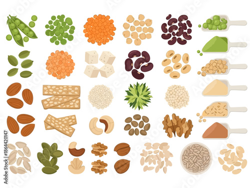 Nutritious Plant-Based Protein Sources Nuts, Seeds, and Legumes