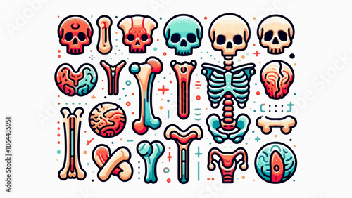 Human Skeleton & Bone Anatomy Icons Set – Colorful Medical Illustration Collection