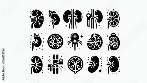 Kidney Anatomy and Medical Icon Set