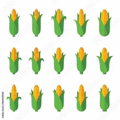 Seamless Pattern of Corn Cobs on White Background, Agricultural Product Illustration for Food and Harvest Themes.