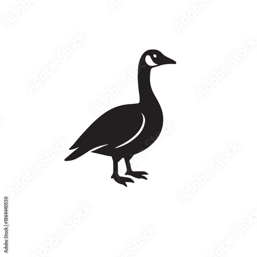 Canada Goose – Facts, Habitat, Behavior, and Migration