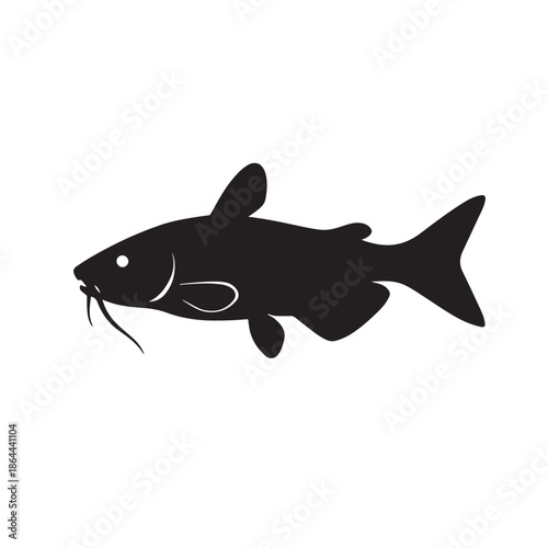 Catfish – Facts, Types, Habitat, and Benefits