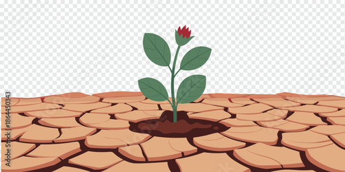 Resilient Plant Growing in Dry Cracked Earth environmental survival concept