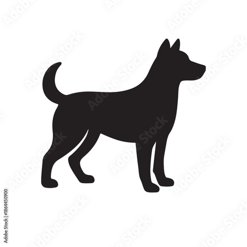 Ultimate Guide to Dogs: Breeds, Care, Training, and Health Tips