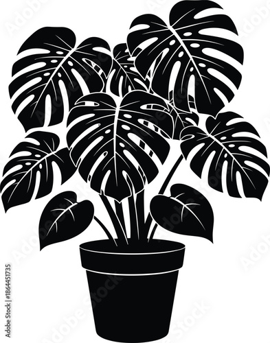 Black Monstera Deliciosa Houseplant Silhouette in Pot Tropical Swiss Cheese Plant Leaf Botanical Vector Illustration for Indoor Home Decor Design (20 words)