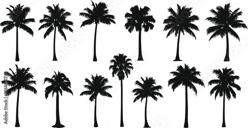 Black Palm Tree Silhouette Collection Large Set of Tropical Coconut Trees Isolated on White for Summer Beach Vacation Nature Design (20 words)