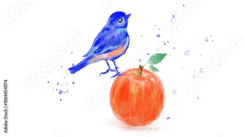 ルリビタキとリンゴ