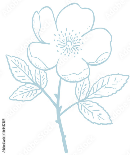 hand-drawn monotone wild flower