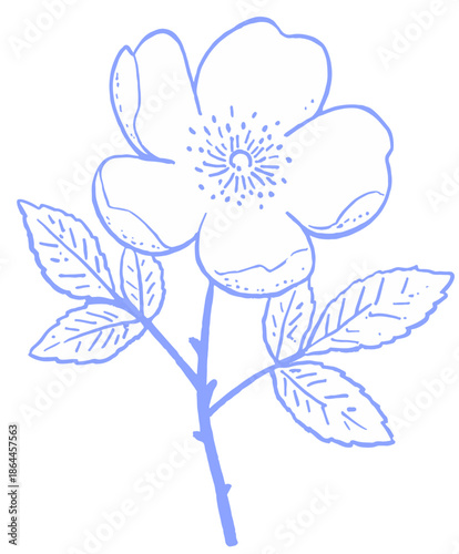 hand-drawn monotone wild flower