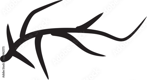 shark vector illustration