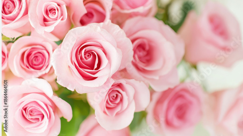 Pink rose flower bouquet close up soft lighting romantic mood floral background delicate petals natural beauty tender emotion