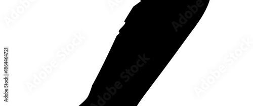 brush strokes texture rough black and white scratches for wallpaper. suit for dirt banner, cover, poster, flyer, background, ads, paint splatter, watercolor design. Vector illustration