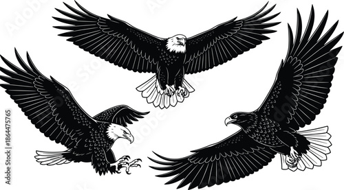 Three equestrian rider silhouettes on horseback, formal riding attire and helmets, walking trotting cantering poses, elegant equestrian sport vector illustration