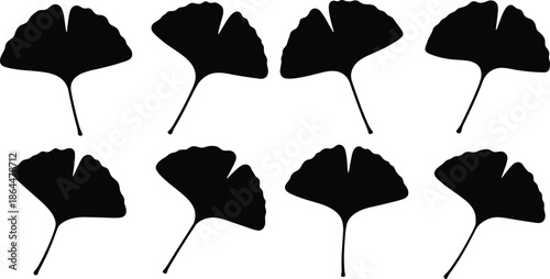 Set of ginkgo biloba leaf silhouettes, fan shaped botanical foliage, medicinal plant collection, nature icon, cad drawing flat vector illustration.